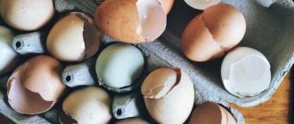 Полезные свойства яичной скорлупы